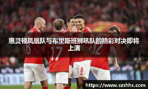 惠灵顿凤凰队与布里斯班狮吼队的精彩对决即将上演